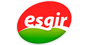 Esgir