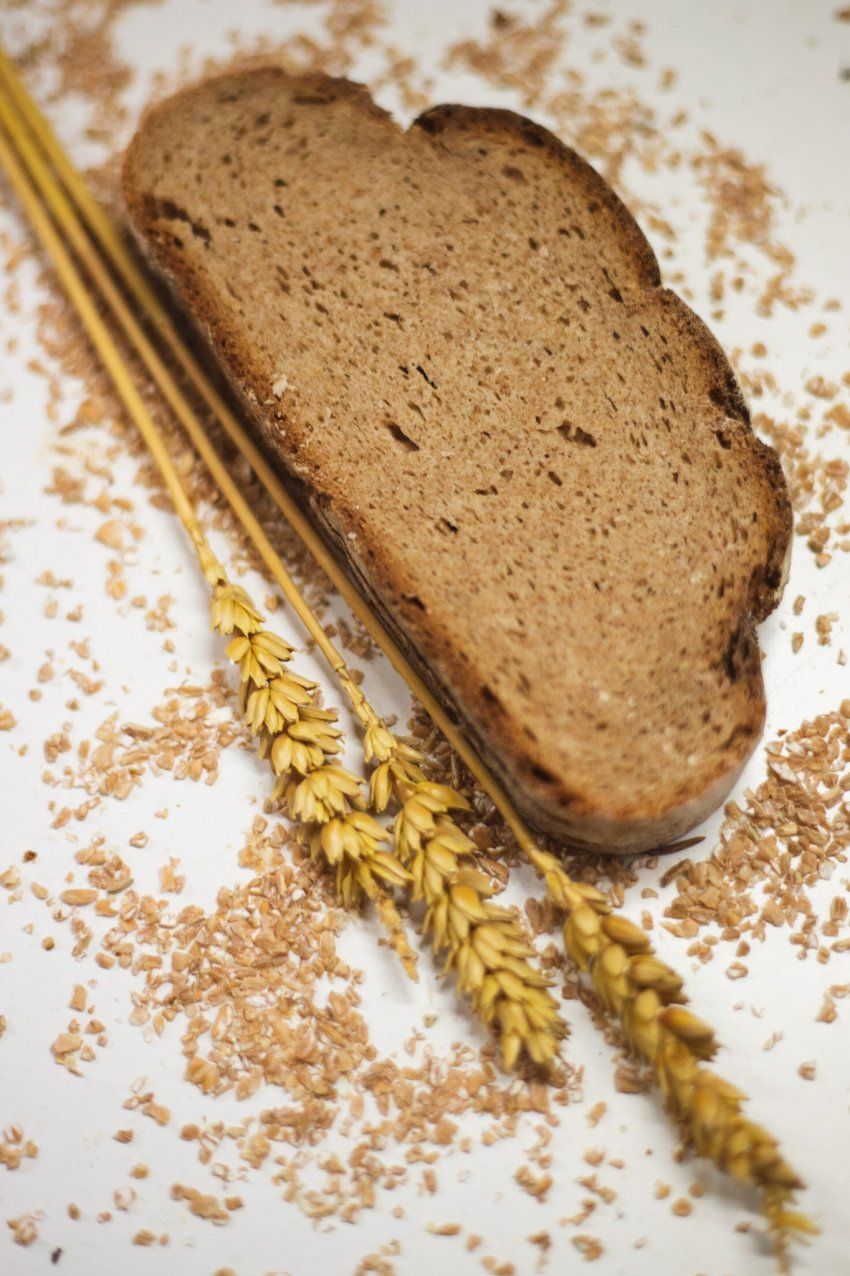 Pan masía