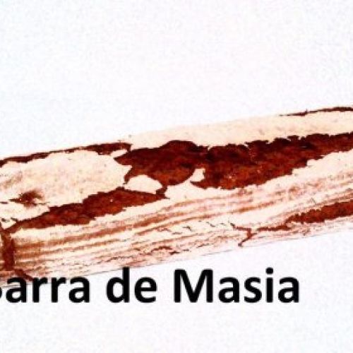 463c0eb1b56af5fbe1eaf2a782807e2a11ef80ec